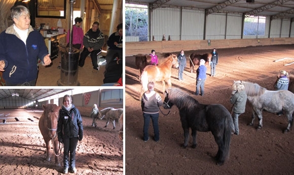 Junggebliebene Altmeisterin: Ullu begeistert Reitschüler