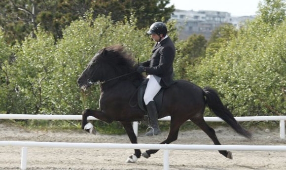 Weitere Quali-Erg. aus IS: Viðar & Tumi toppen T1 (8,13)