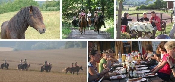 Ein Tag auf Gut Wertheim – Lizenz zum Wohlfühlen