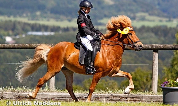 Gelungenes OSI Wildflecken mit Gifi-/Schrenk-Doppelgold