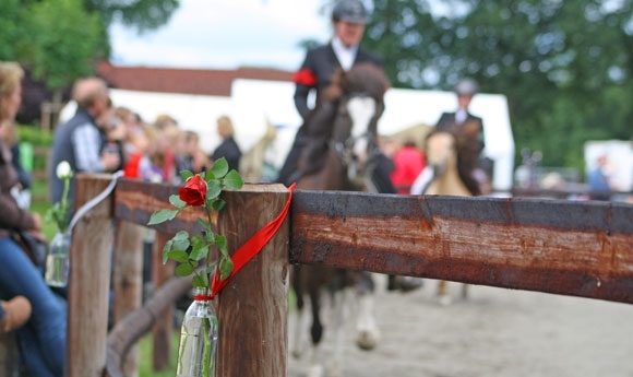 WittCup: Inga, Kati, Jürgen toppen T2/3/4, Steffi zu T1-Gold