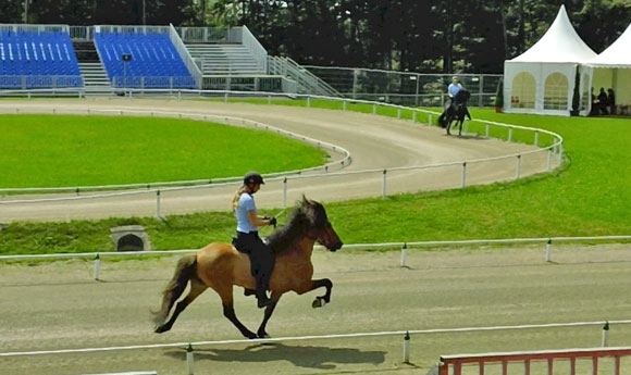 WM: Rege Betriebsamkeit / Video: Karly beim Ausparken