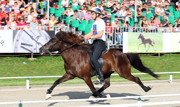 WM live: Beggi holt Gold, Annabell Top beim Nachwuchs