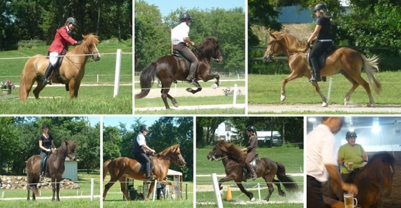 Begeisterndes Flugnirkeppni auf Winterhorse Park (USA)