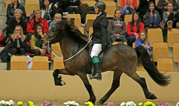 WT: Sys/Daníel packen V1/F1-BF, Ulbæk-Gold in YR-F1