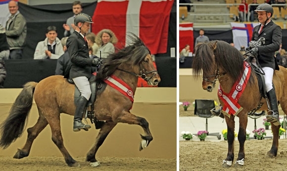 WT live: Moli & Arnþór die Top-Hengste, Jói vergoldet T1