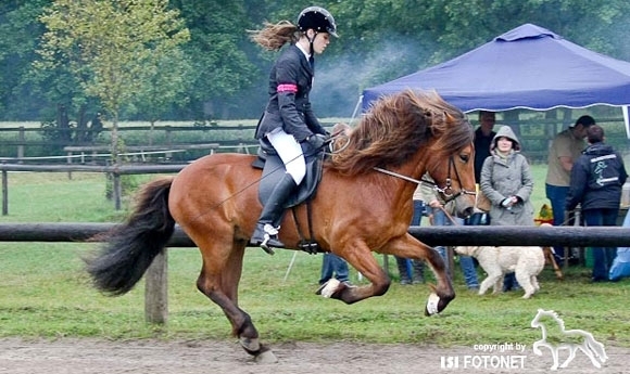 Sport, Spiel & Spaß auf dem OSI Wulfenhof / Fotoalbum