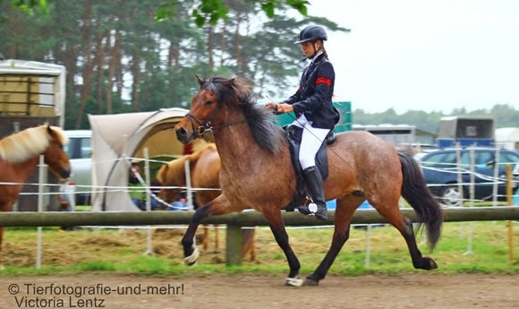 Spiel und Spaß auf dem Wulfenhof: Top-Adresse in NRW