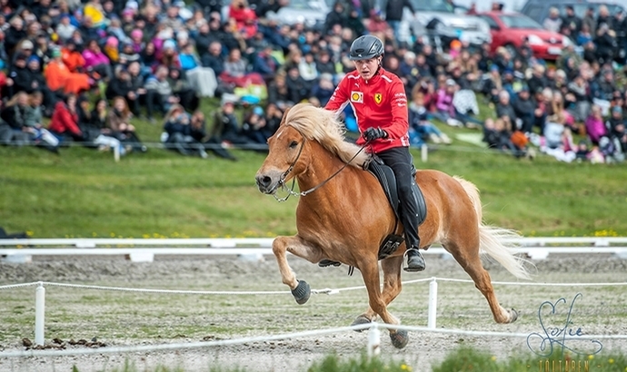 LM: Heimsmetið í 250m skeiðinu marg slegið!