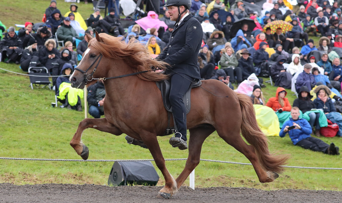 Adrían frá Garðshorni á Þelamörk í Austur-Landeyjum