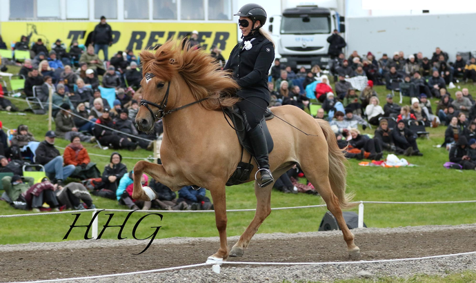 Suðurlandsmót Yngri flokka 2018 – Niðurstöður úr forkeppni