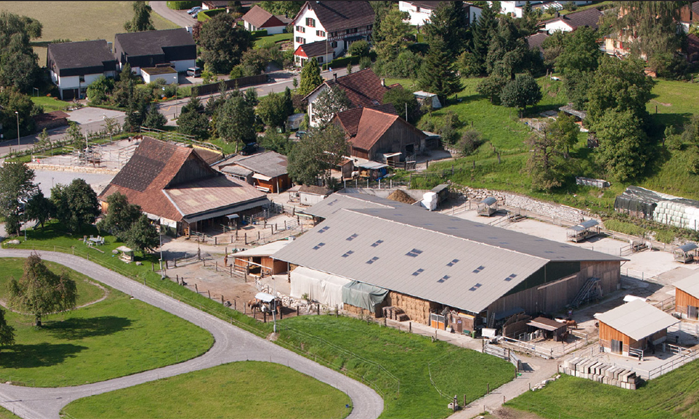 Verstärkung für Niederfeld: Top-Job nahe Zürich