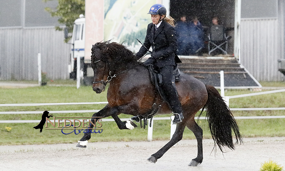 ÖM: Helga, Gerrit, Piet, Youngster stark in Form