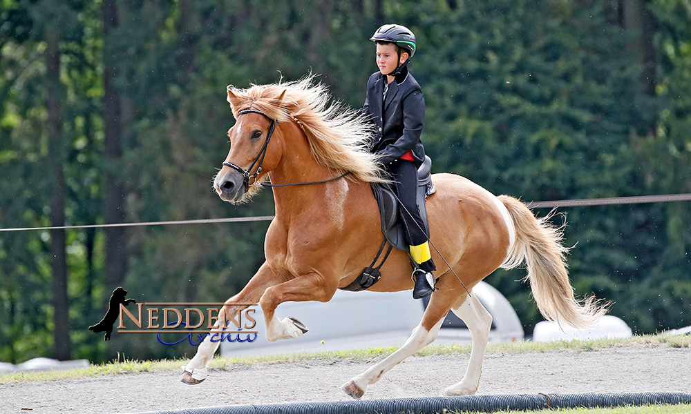 Trappistenhof vereint Sport und geselliges Miteinander