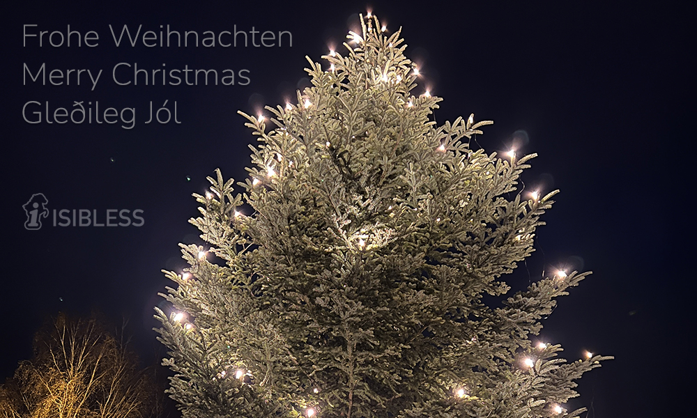 Gesegnete Weihnachten allen Freunden nah und fern