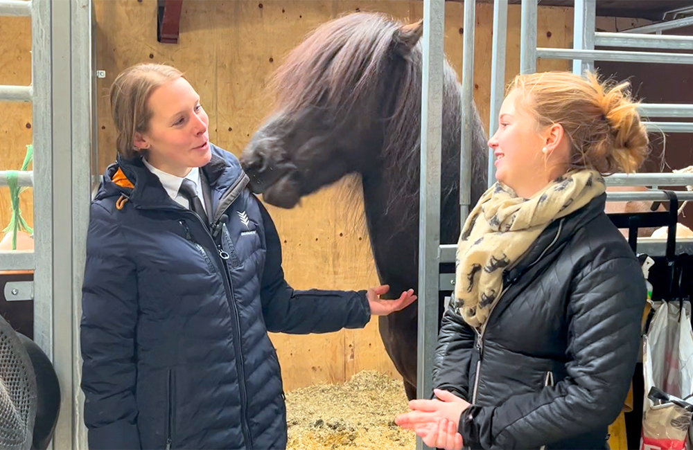 Sys lädt ein: Interview in Herning & T1-Finalvideo