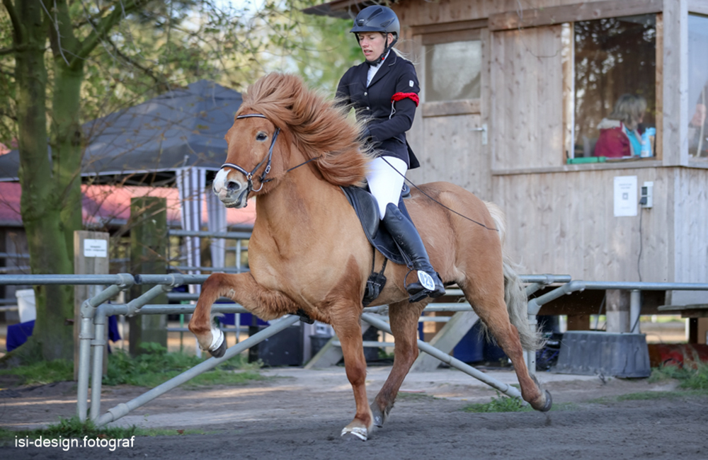 Hesta-Kykki: Gerd, Clara, Nina, Janine, Sina auf ‘Pole’