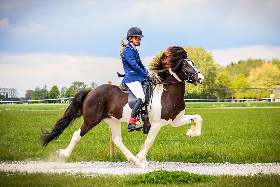 NL: Mée hestar Iris and Freya win sports B