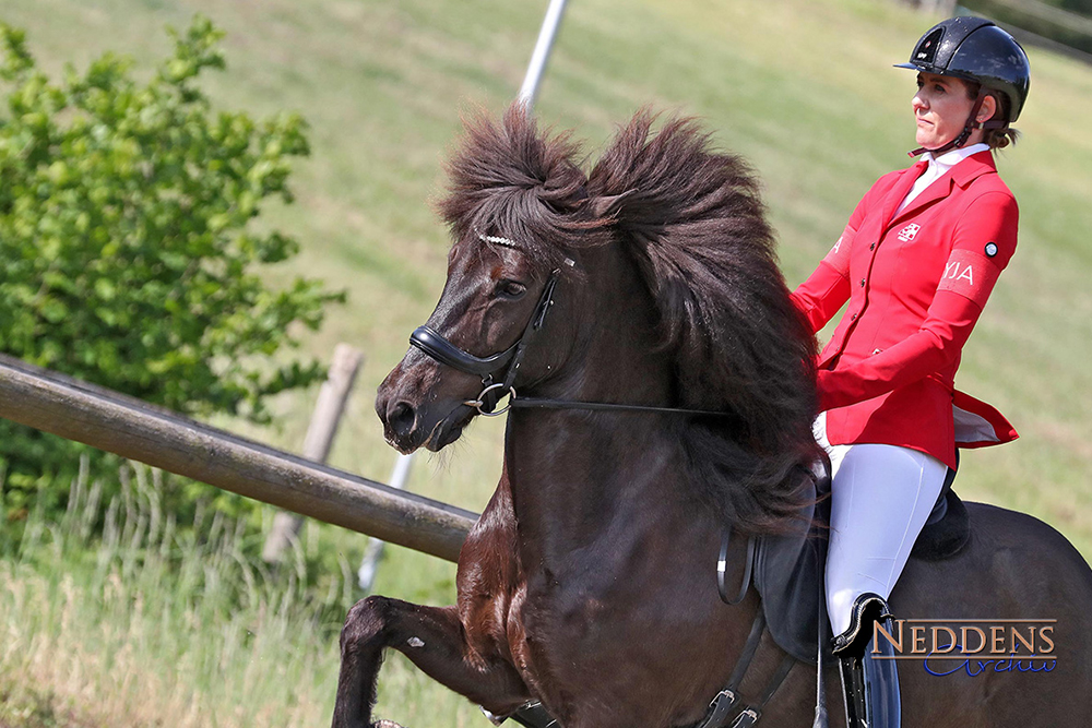 Lisa und Viðja siegen in der Móarbær-T2