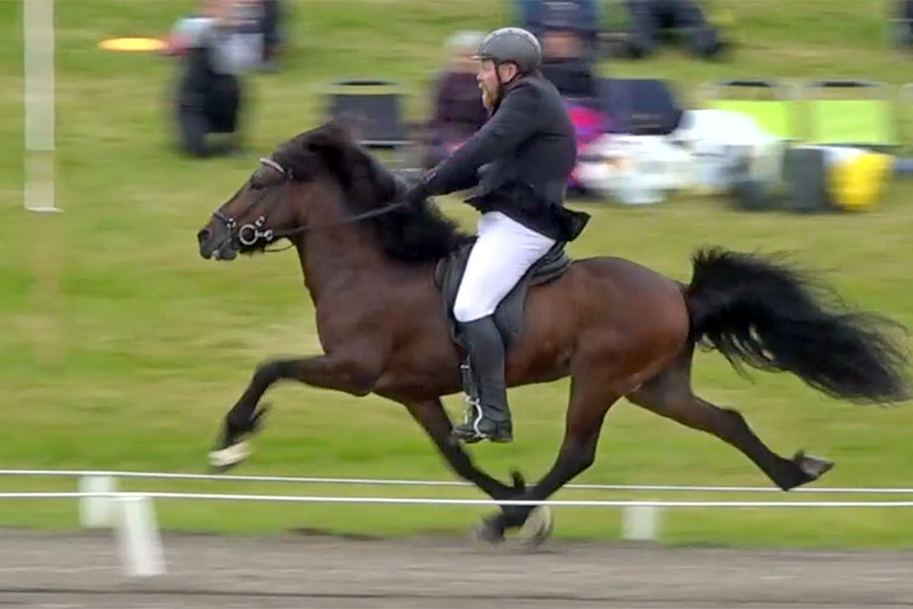 LM: Goði neuer Topper im A-flokkur, ZF-Video