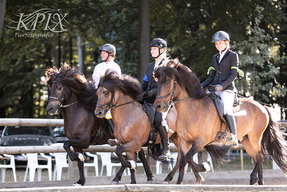 Michaela, Melissa, Maike, Marvin, Inga, Hendrik top beim IPOL in Belm