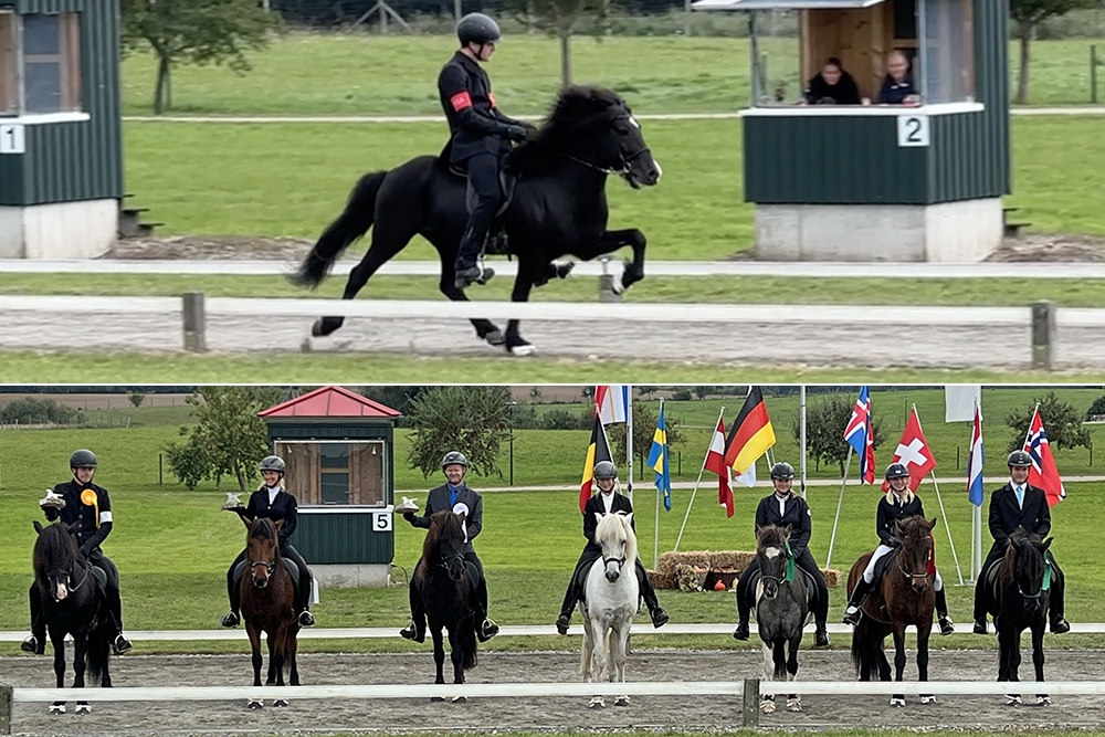 PC: Gold für Baldur und Jón Bjarni im B-flokkur