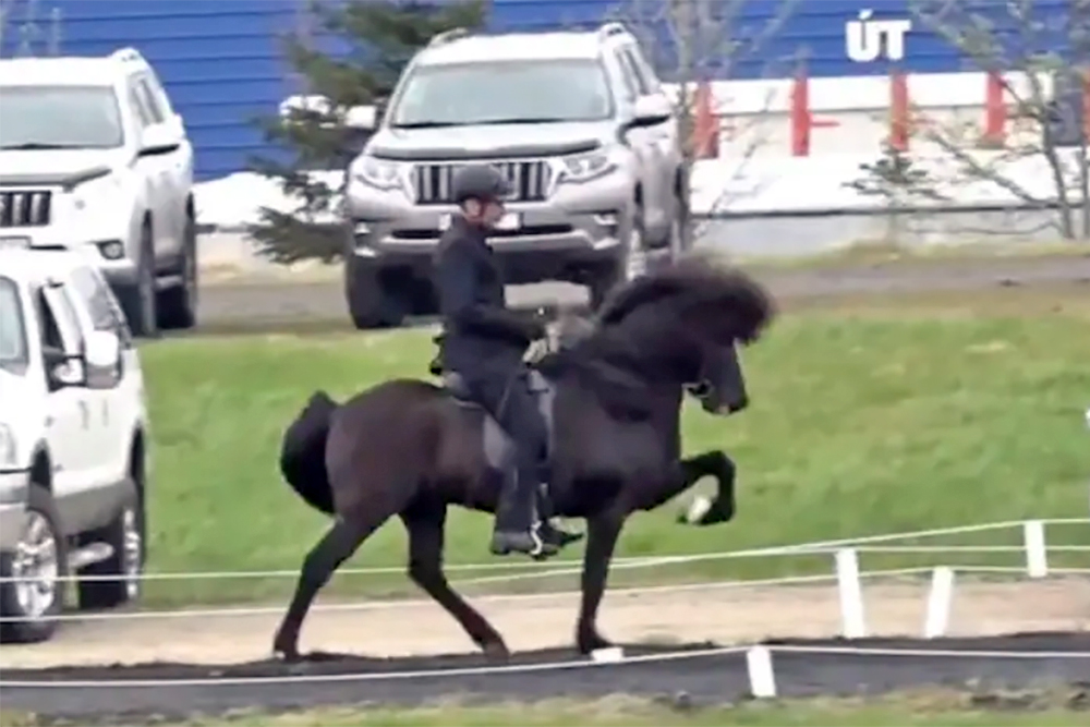 Palli, Flosi, Hákon, Elvar erfolgreich in Selfoss