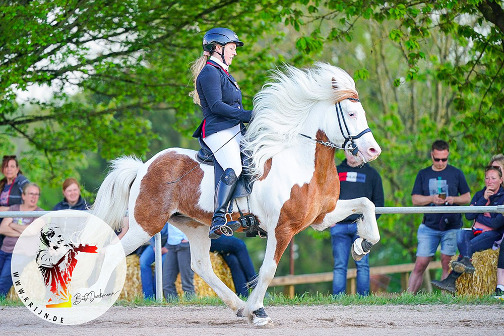 Charlotte, Rike, Lena, Sophie, Laura 1a in Melle