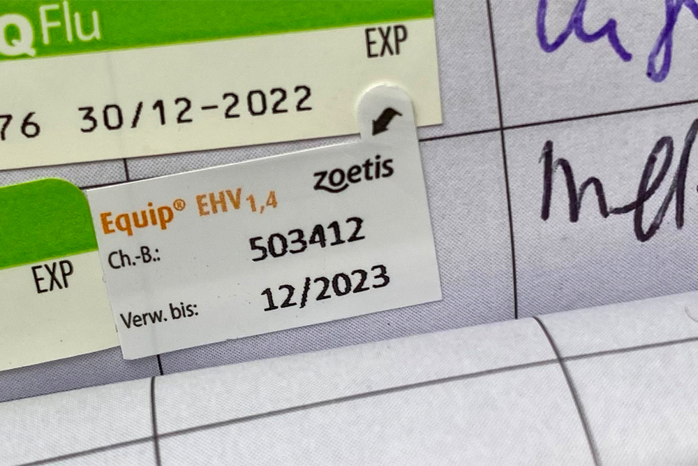 IPZV informiert: Auch 2024 keine Herpes-Impfpflicht