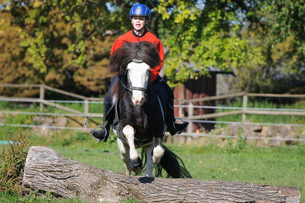 Futurity Kids: Heißer Herbst am Wiesenhof