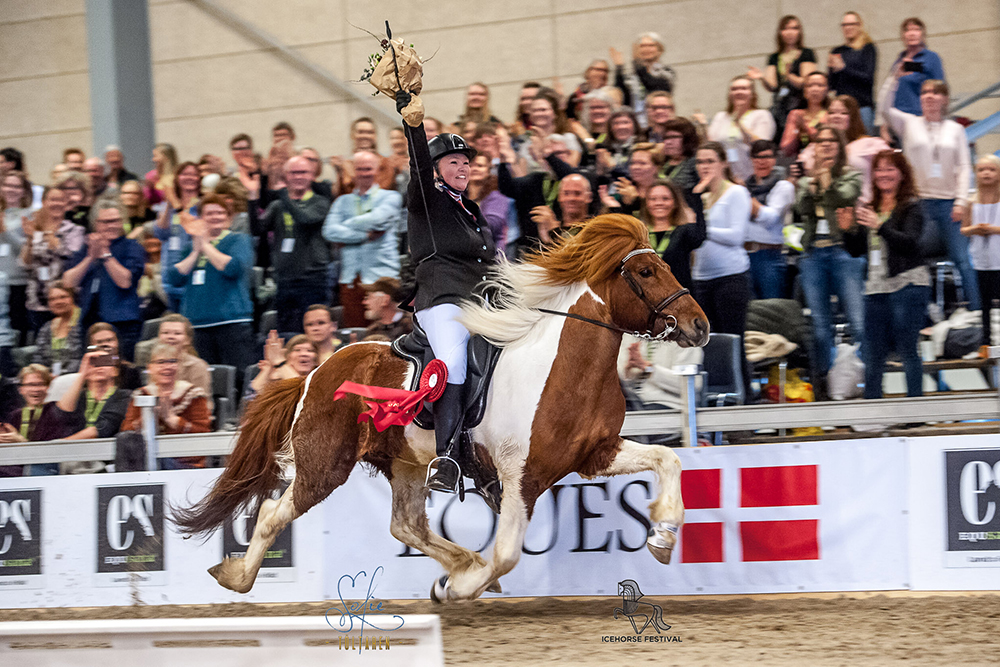 Herning lockt Anfang April: Anmeldung ab 1. Februar