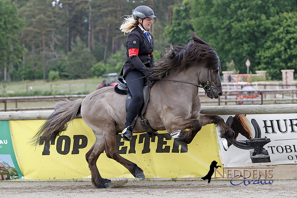 Stefan, Josi, Beeke & Mimi gewinnen Kronshof-BFs