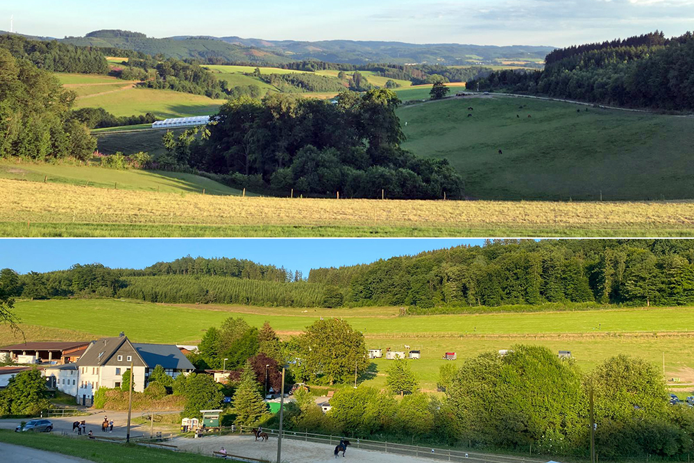 DJIM: Anreise und Training laufen auf Hochtouren