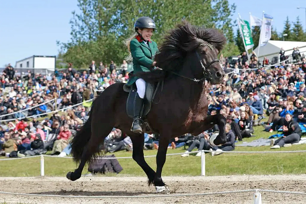 Coole Kinder, Sportgold für Ási, Gústi & Jón Ársæll