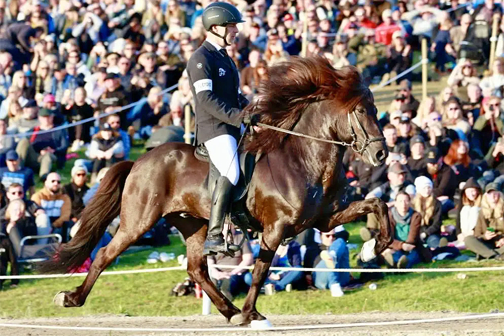 Jakob & Skarpur holen den Tölt-Pott beim Landsmót