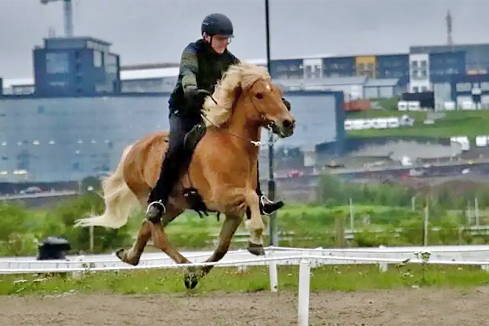 Konni & Kjarkur knacken 150-Meter-Weltrekord