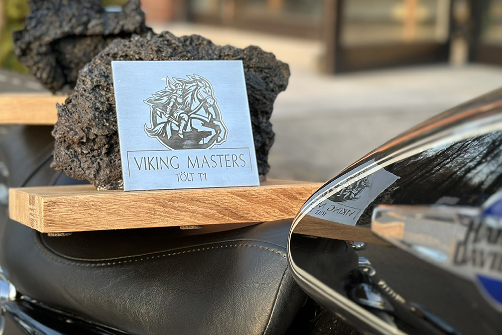 Save the date: 15.3.25 Viking Masters in Münster