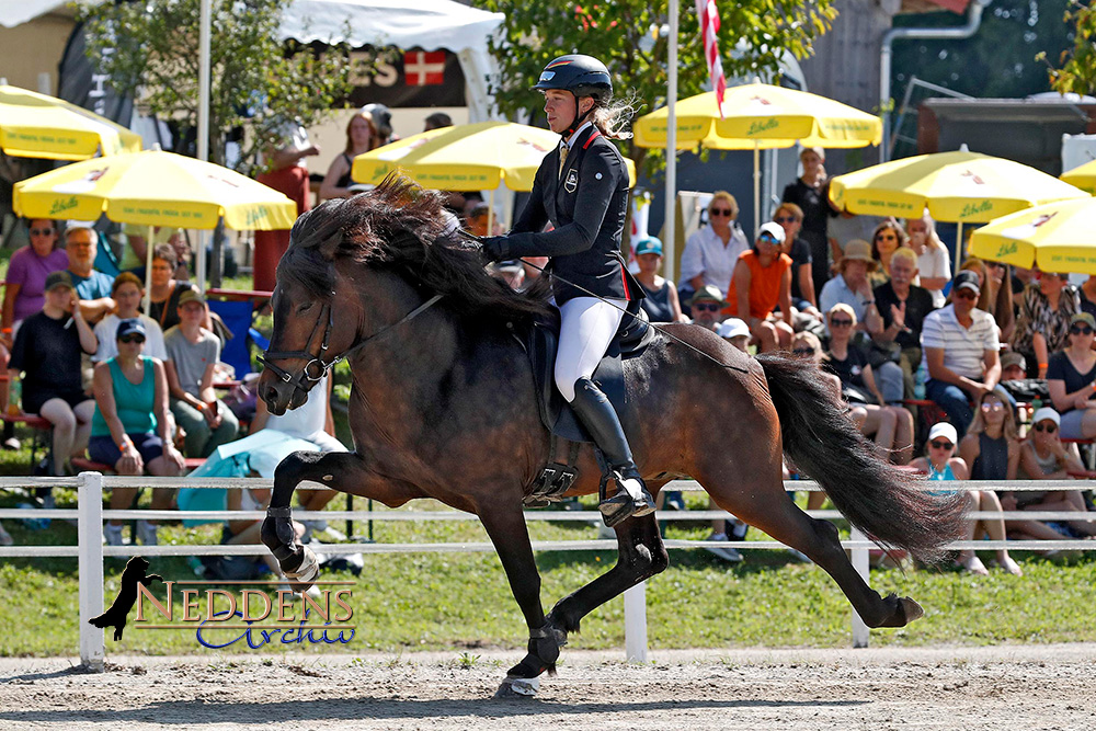 Bergfest auf der MEM: Video-Highlights FR