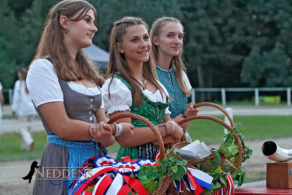 Champions im Gespräch: MEM-Sieger am Mikrofon