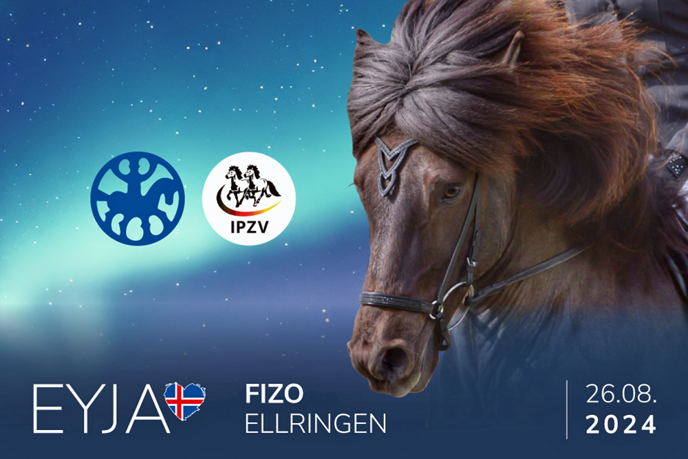 59 PS auf Kronshof-FIZO: mit EYJA TV live dabei