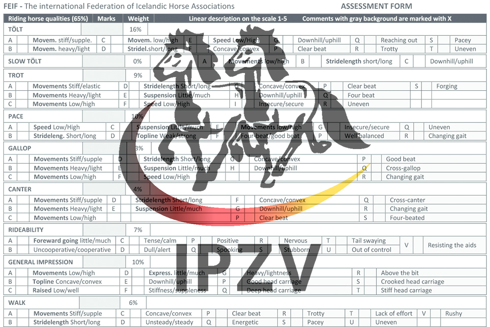 FIZO am Grenzlandhof startet Dienstag um 11