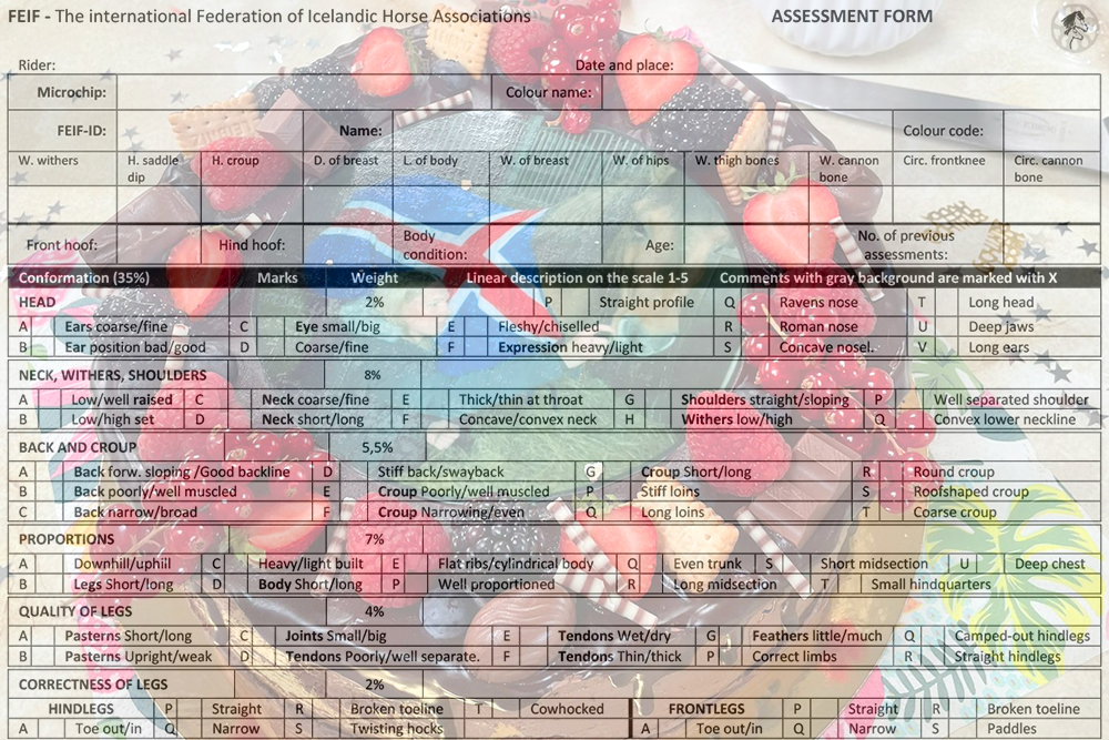 Hríkalegur im Grenzland vor Patrekur und Bangsi