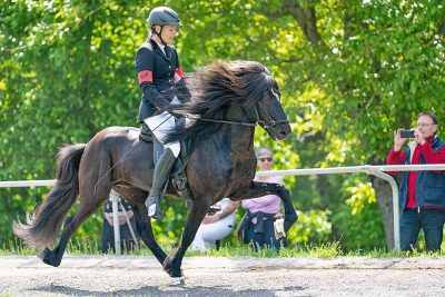 EYJA Sprechstunde: Tölt im Turniersport