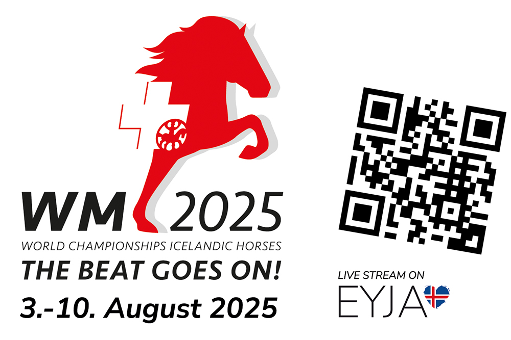 WM 2025 in Birmenstorf: Live-Stream bei EYJA TV