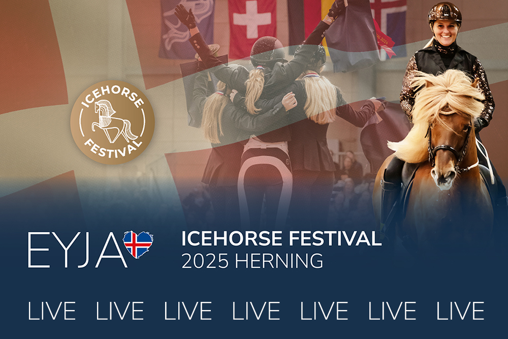 Icehorse Festival 2025 gibt’s LIVE bei EYJA TV