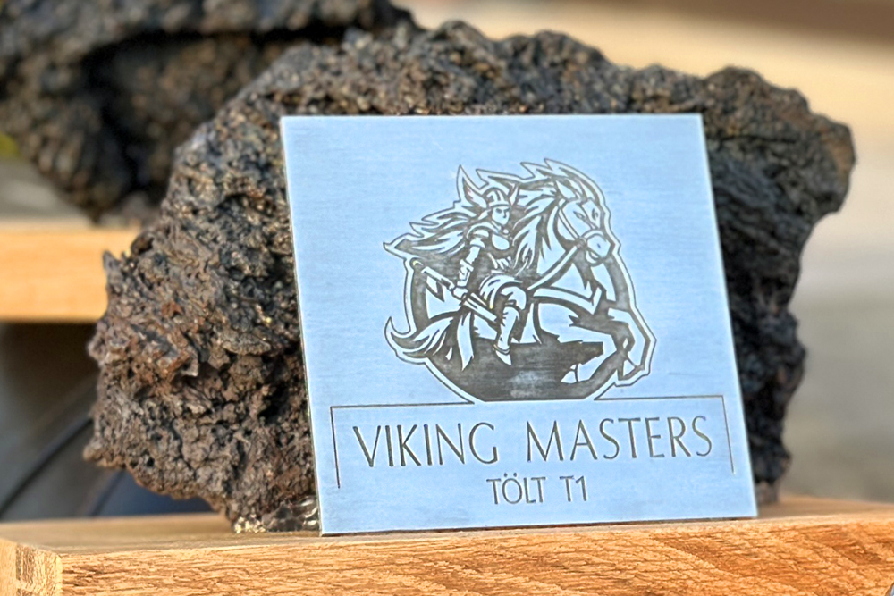 Vorfreude: Viking Masters, Nennung startet am 25.11.