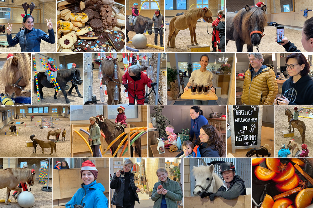 Feierliche Horse Agility am Hestar Hof Heller