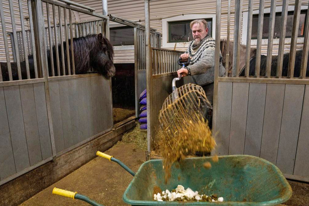 Bauern und Pferdehalter stinkig über Sch***-Steuer