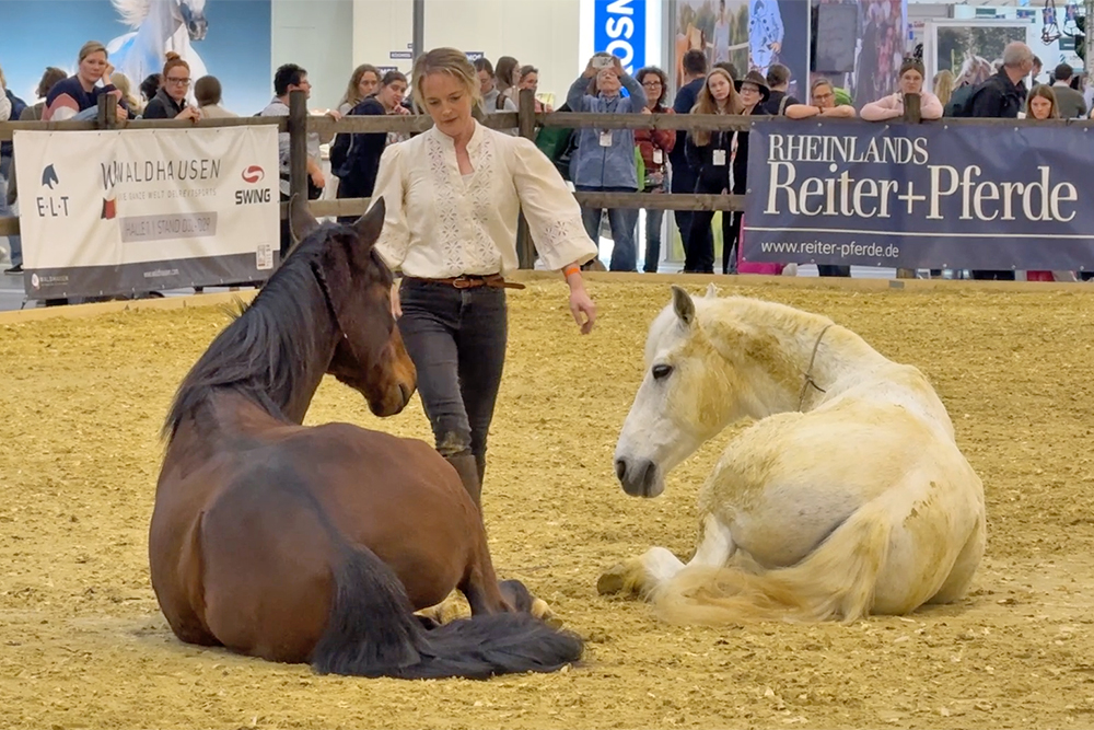 Abschied von Ostwind, Equitana-Video vom SO